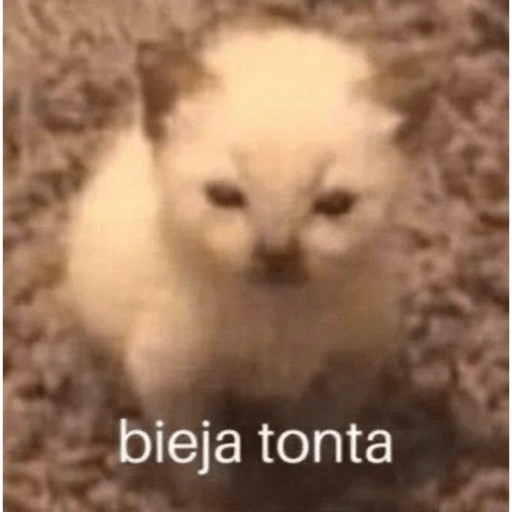 😂Gatitos Cura Depresión🙀  preview