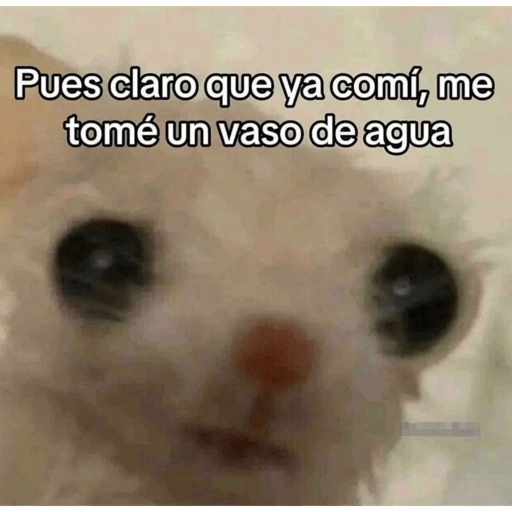 😂Gatitos Cura Depresión🙀 