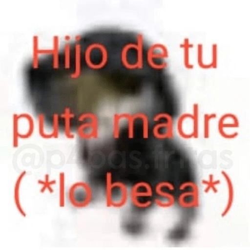 😂Gatitos Cura Depresión🙀 