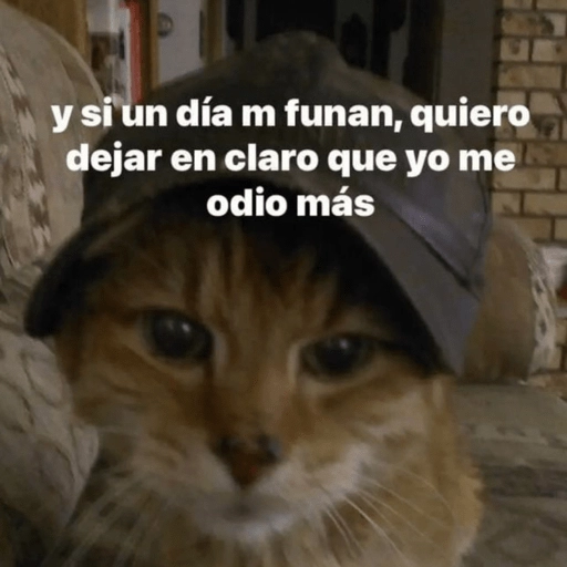 😂Gatitos Cura Depresión🙀 