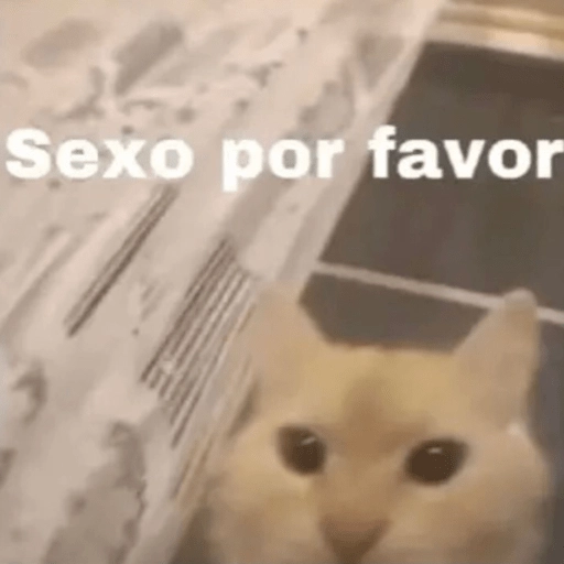 😂Gatitos Cura Depresión🙀 