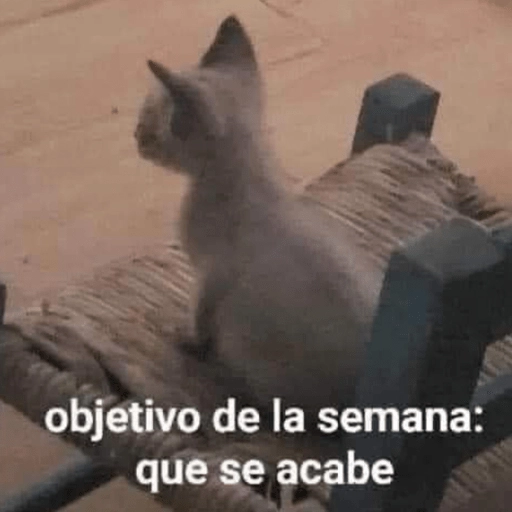 😂Gatitos Cura Depresión🙀 