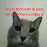 😂Gatitos Cura Depresión🙀 