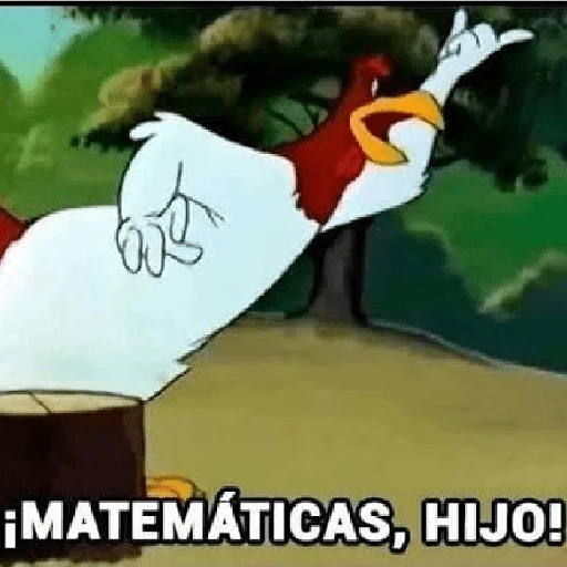 ñam 