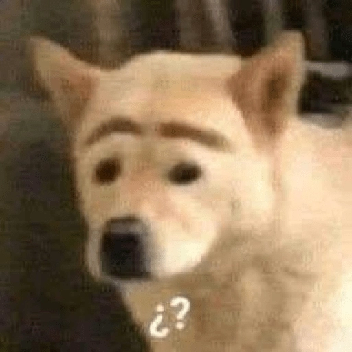 ñam 