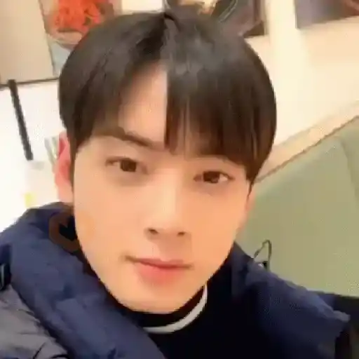 👨🏻‍🎤🎙️Cha Eun Woo 🇰🇷 sticker 22