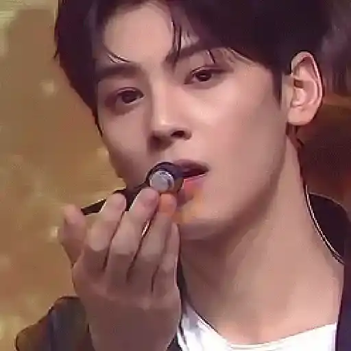 👨🏻‍🎤🎙️Cha Eun Woo 🇰🇷 sticker 24
