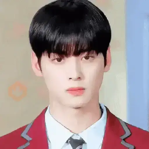 👨🏻‍🎤🎙️Cha Eun Woo 🇰🇷 sticker 17