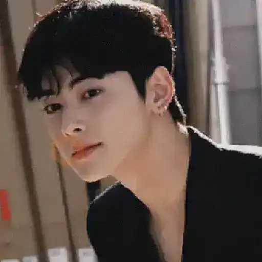 👨🏻‍🎤🎙️Cha Eun Woo 🇰🇷 sticker 27