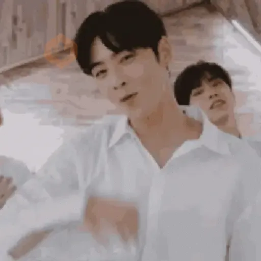 👨🏻‍🎤🎙️Cha Eun Woo 🇰🇷 sticker 12