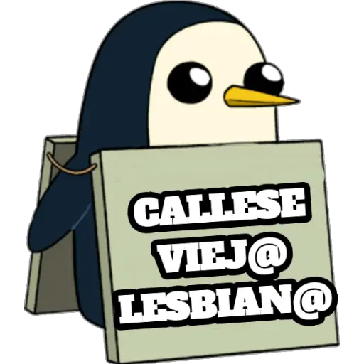 GUNTER VENEZOLANO PACK 1 