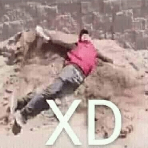Que perro coraje 