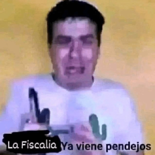 Que perro coraje 