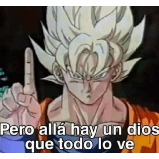 Que perro coraje 