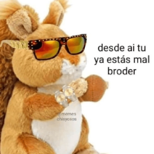 Que perro coraje 