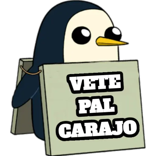 GÜNTER VENEZOLANO PACK 2 