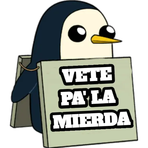 GÜNTER VENEZOLANO PACK 2 