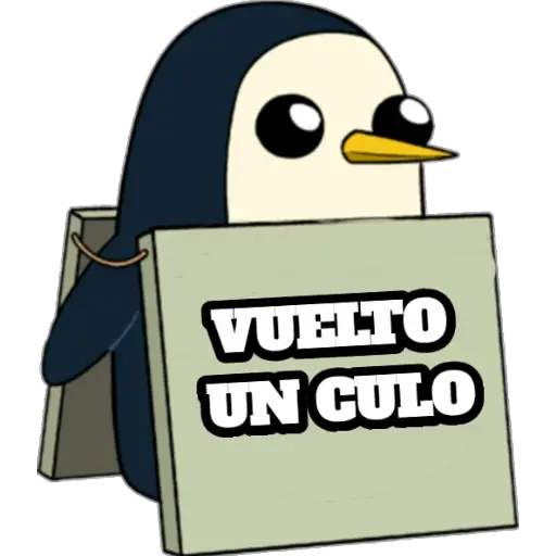 GÜNTER VENEZOLANO PACK 2 