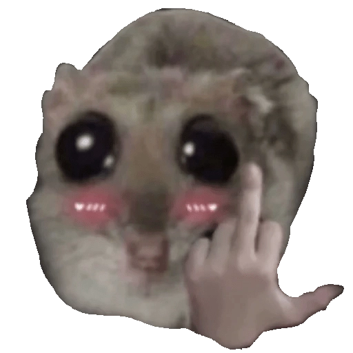 Ratita Triste