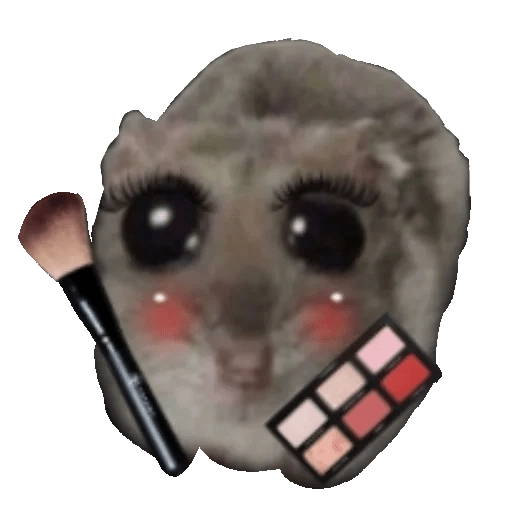 Ratita Triste