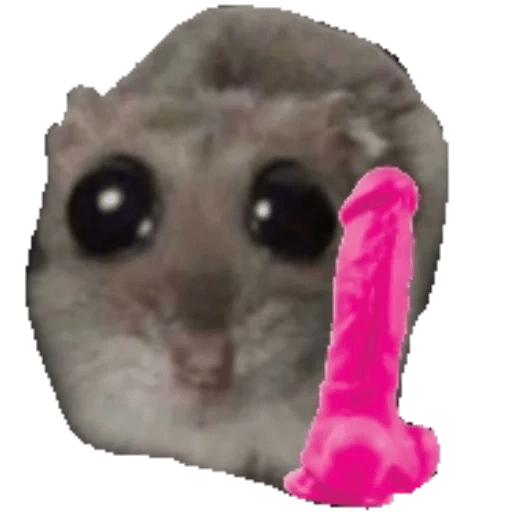 Ratita Triste