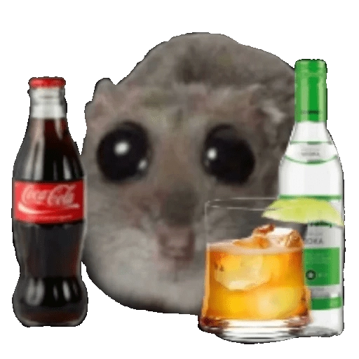 Ratita Triste