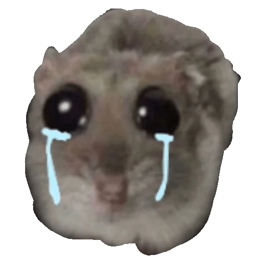 Ratita Triste