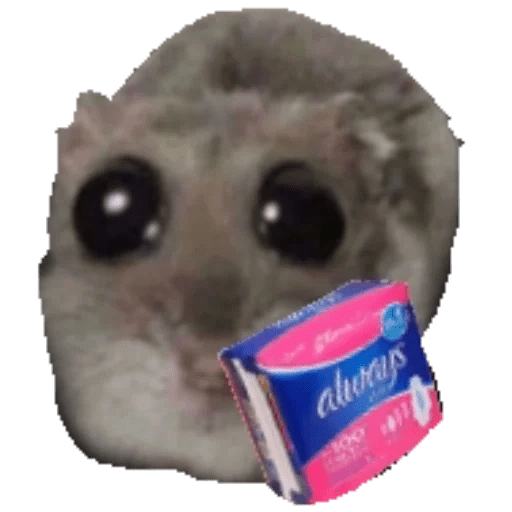 Ratita Triste preview