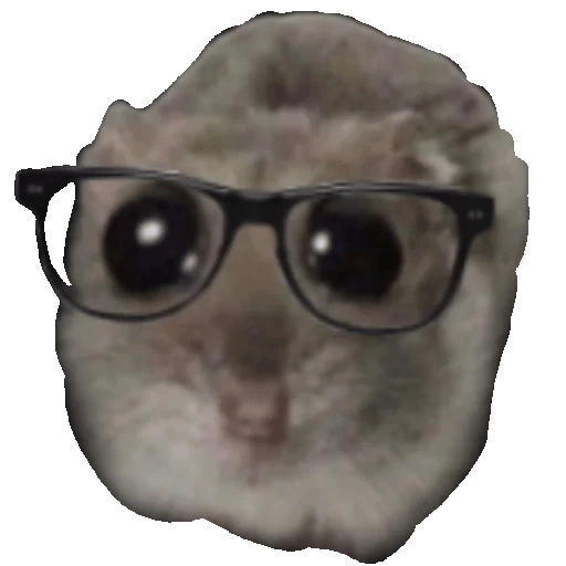 Ratita Triste
