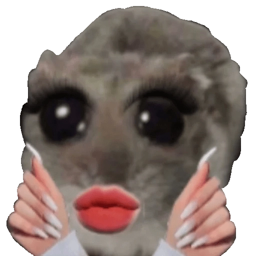Ratita Triste