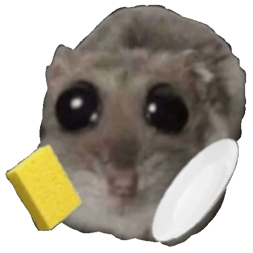 Ratita Triste