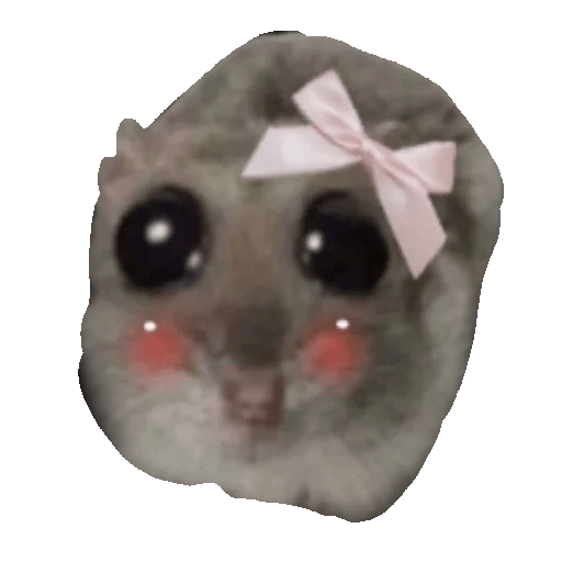 Ratita Triste