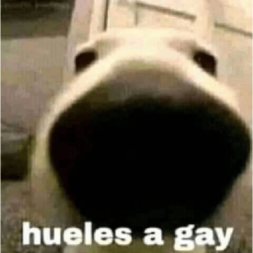Pack Enojo Shitpost 😡🤬 2 