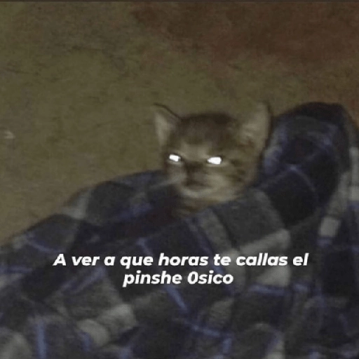Pack Enojo Shitpost 😡🤬 2  preview