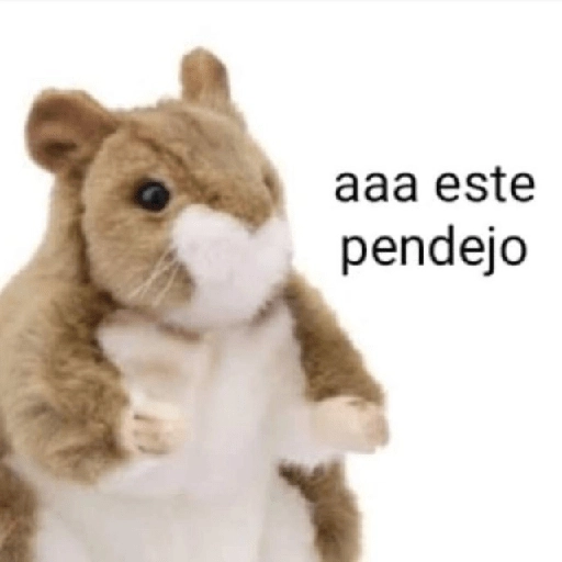 Pack Enojo Shitpost 😡🤬 2 