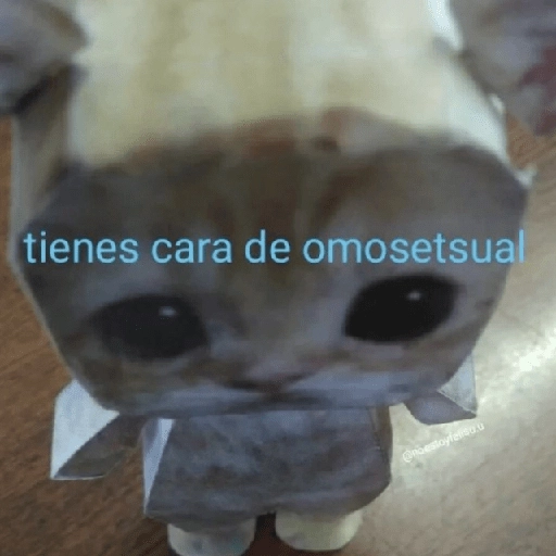 Pack Enojo Shitpost 😡🤬 2 