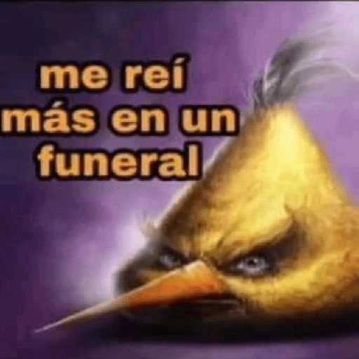 Pack Enojo Shitpost 😡🤬 2 