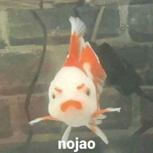 Pack Enojo Shitpost 😡🤬 2  preview
