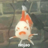 Pack Enojo Shitpost 😡🤬 2 