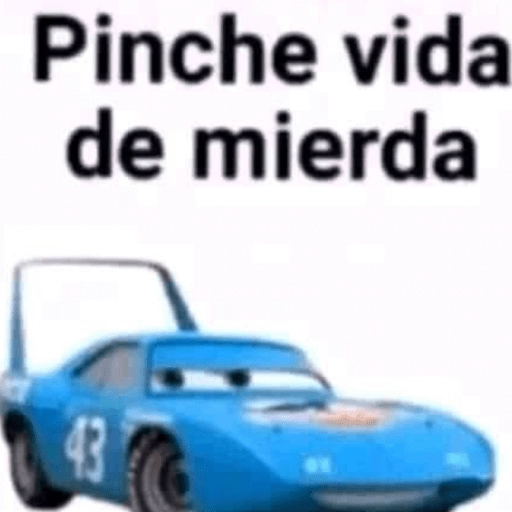 🤌🏻Stickers pal grupo😌😂 