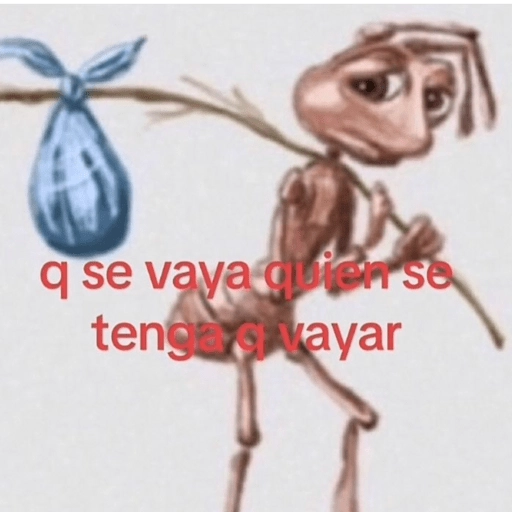🤌🏻Stickers pal grupo😌😂 