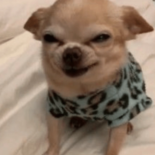 Perritos Moods preview