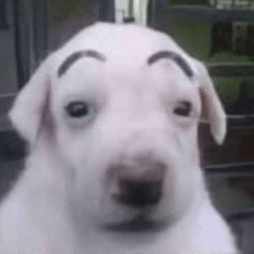 Perritos Moods
