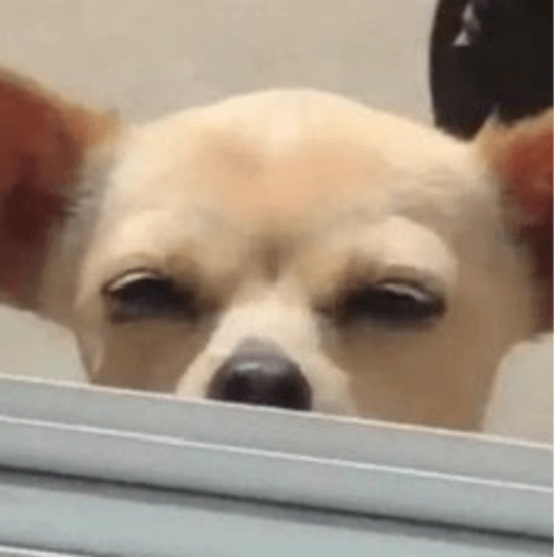 Perritos Moods
