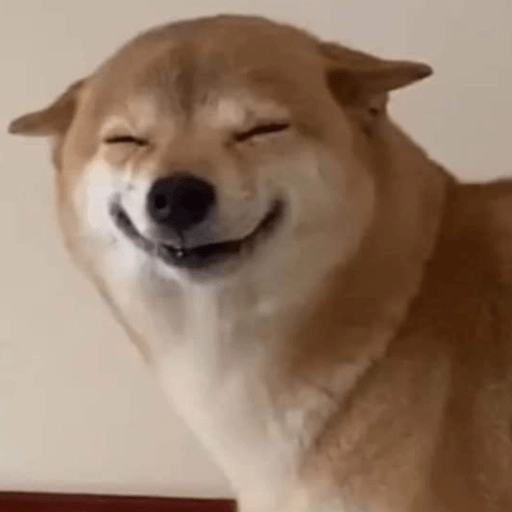 Perritos Moods