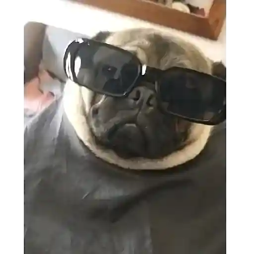 😎Barbería - Tiktok Viral😎 