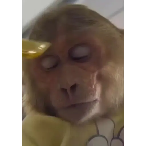 😎Barbería - Tiktok Viral😎  preview