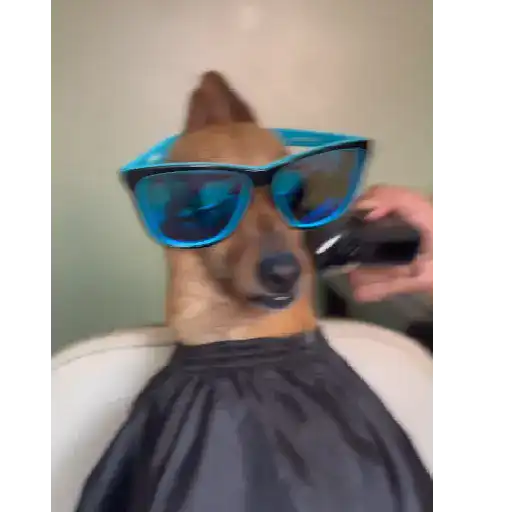 😎Barbería - Tiktok Viral😎 