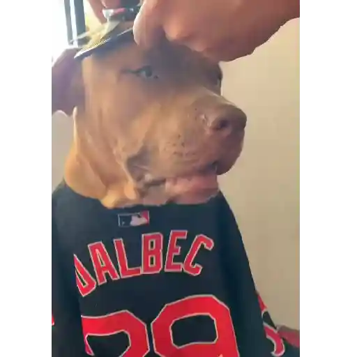 😎Barbería - Tiktok Viral😎 
