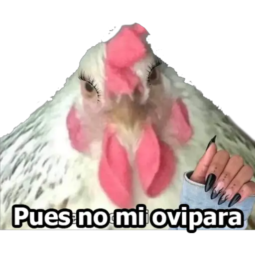 MI CIELA 